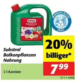 Nah&Frisch Substral Balkonpflanzen Nahrung Angebot