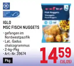 Metro Iglo msc fisch nuggets Angebot
