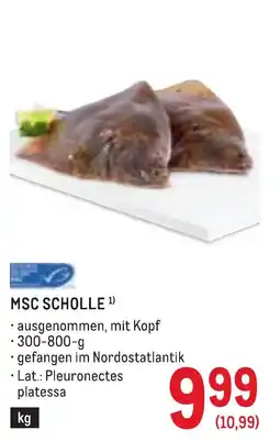 Metro Msc scholle Angebot