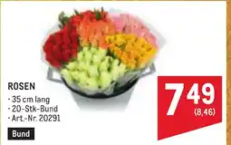 Metro Rosen Angebot