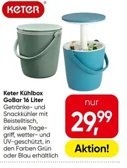 Eurospar Keter Kühlbox GoBar Angebot