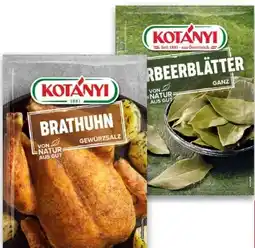 Interspar Kotányi Gewürzbriefe Angebot