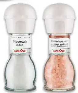 Interspar Kotányi Salzmühlen Angebot