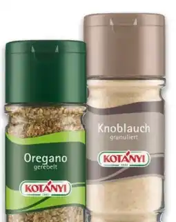 Interspar Kotányi Gläser Angebot