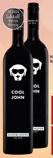Interspar Weingut Scheiblhofer Cuvee Cool John Angebot