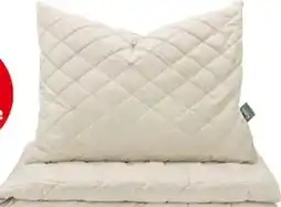 Interspar Fan Frankenstolz Polster Lama Angebot