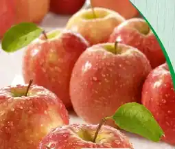 Spar Elstar Äpfel Angebot