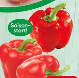 Spar Spar Paprika Angebot