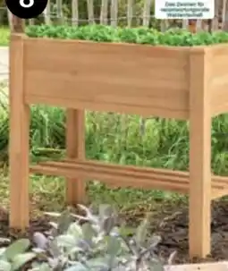 Dehner Dehner Holz-Balkonhochbeet Quebec Angebot