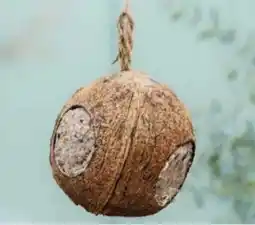 Dehner Dehner Natura Wildvogel Kokosnuss Angebot