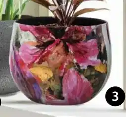 Dehner Übertopf Diva Angebot