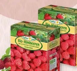 SPAR Gourmet Spar Natur pur Bio-Himbeeren Angebot
