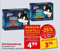 Interspar Felix Katzennahrung Angebot