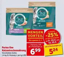 Interspar Purina One Katzentrockenahrung Angebot