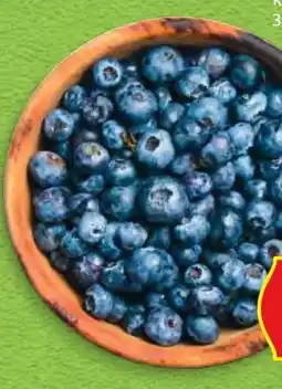 Hofer Hofer Marktplatz Heidelbeeren Angebot