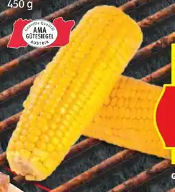 Hofer Hofer Marktplatz Zuckermais Angebot