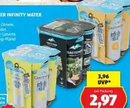 Hofer Gasteiner Infinity Water Angebot