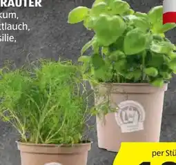 Hofer Zurück zum Ursprung Bio-Kräuter Angebot