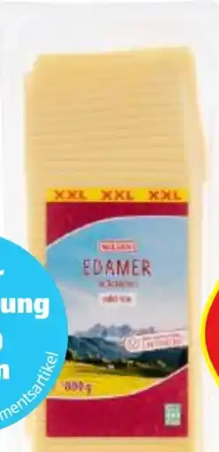 Hofer Milsani Edamer Scheiben Angebot