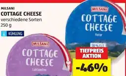 Hofer Milsani Cottage Cheese Angebot