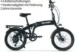 Hofer Sharp E-Bike BK-BM04E Angebot