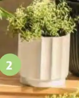 Hofer Belavi Pflanzgefäß Wellenoptik Angebot