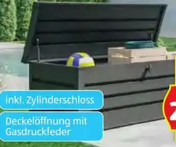 Hofer GFP Freizeitbox Angebot