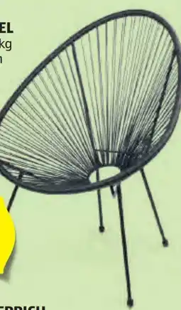 Hofer Belavi Design-Kultsessel Angebot