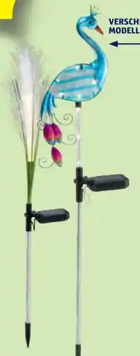 Hofer Belavi Solar Frühlings-Gartenstecker Angebot