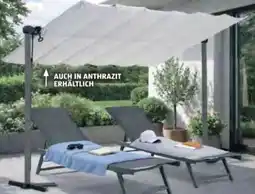 Hofer Leco Sonnendach Waved Angebot