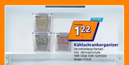 Action Kühlschrankorganizer Angebot