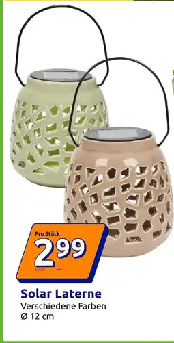 Action Solar Laterne Angebot