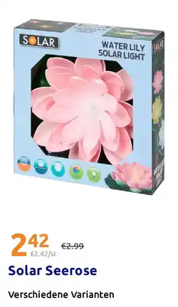 Action Solar Seerose Angebot