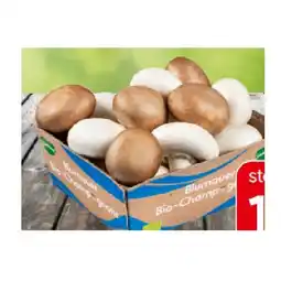 Eurospar Bad Blumauer Bio-Champignon Mix aus Österreich EUROSPAR Angebot
