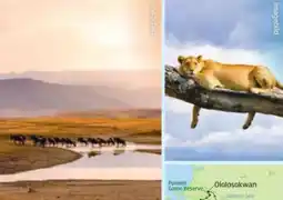 Hofer Hofer-Reisen Tansania-Safari Angebot