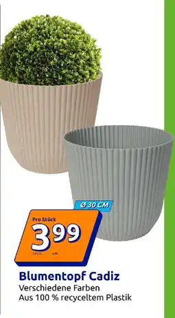 Action Blumentopf Cadiz Angebot