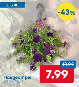 T&G Hängeampel Angebot