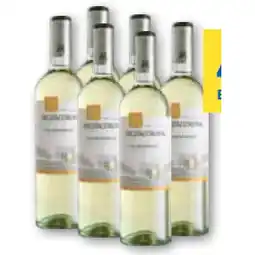 T&G Mezzacorona Chardonnay Trentino DOC T&G Angebot