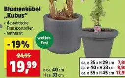 Thomas Philipps Blumenkübel kubus Angebot