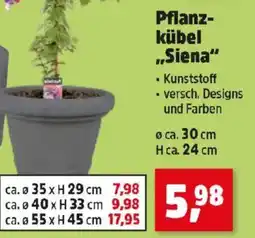 Thomas Philipps Pflanz- kübel Siena Angebot