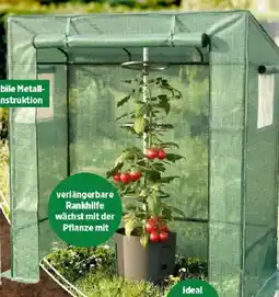 Thomas Philipps Tomaten gewächshaus Angebot