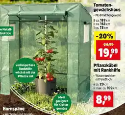 Thomas Philipps Pflanzkübel mit Rankhilfe Angebot