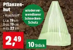 Thomas Philipps Pflanzen hut Angebot