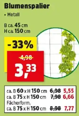 Thomas Philipps Blumenspalier Angebot