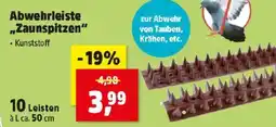 Thomas Philipps Abwehrleiste zaunspitzen Angebot