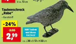 Thomas Philipps Taubenschreck Rabe Angebot