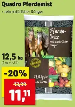 Thomas Philipps Quadro Pferdemist Angebot