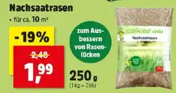 Thomas Philipps Nachsaatrasen Angebot