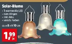 Thomas Philipps Solar-Blume Angebot