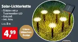 Thomas Philipps Solar-Lichterkette Angebot